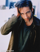 photo 14 in David Duchovny gallery [id60771] 0000-00-00