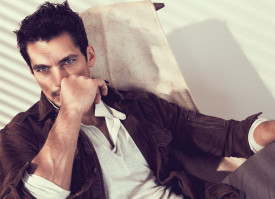 David Gandy photo #