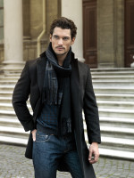 David Gandy photo #