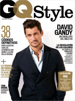 David Gandy photo #