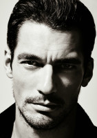 David Gandy photo #