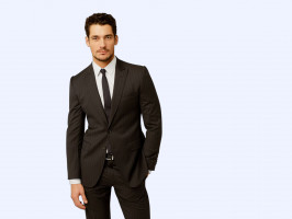 David Gandy photo #