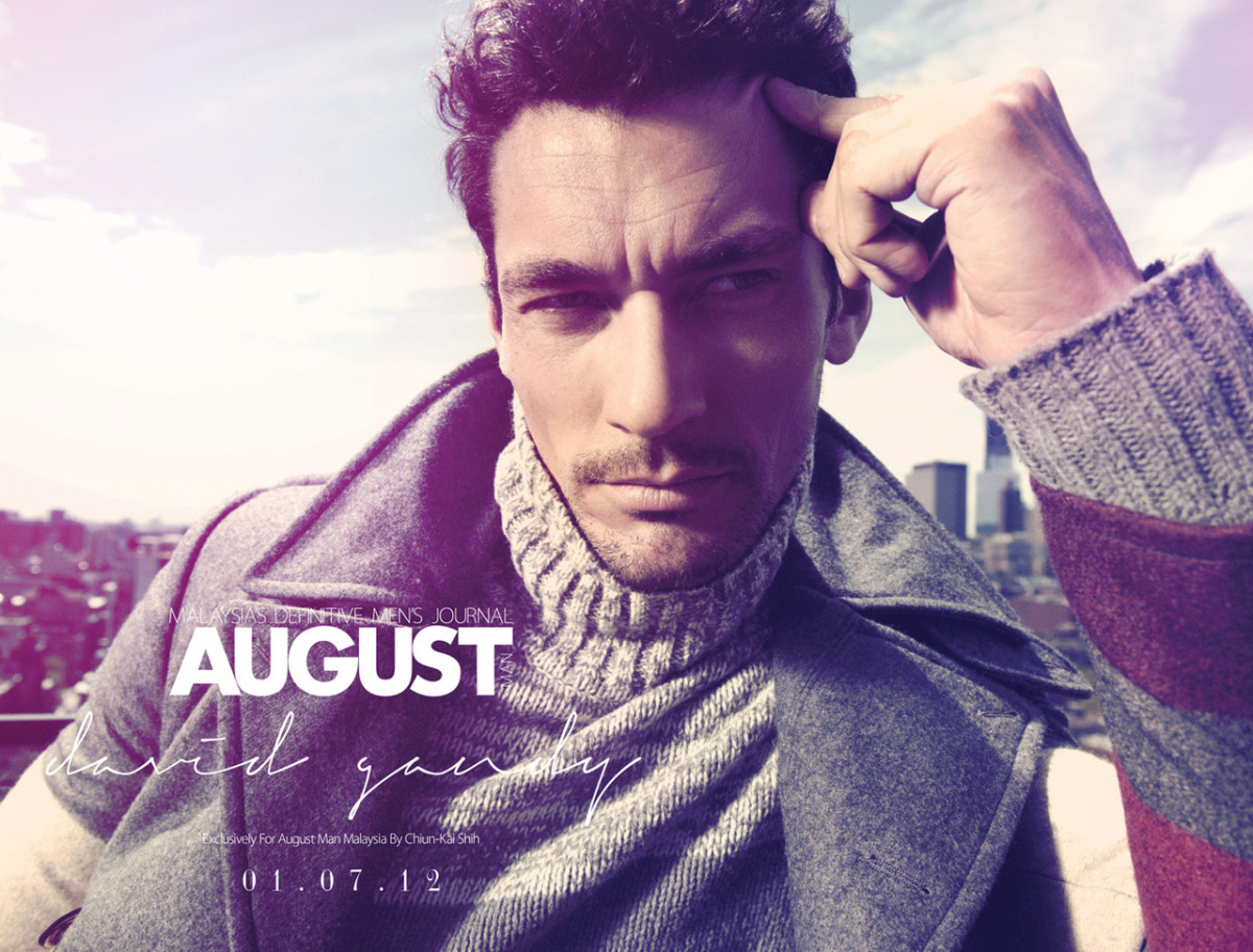 David Gandy: pic #514086