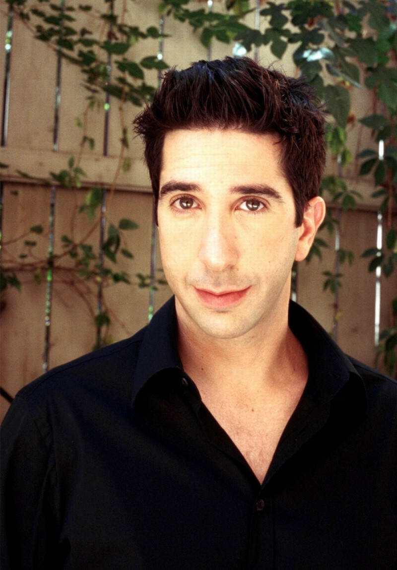 David Schwimmer: pic #278893