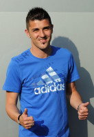 David Villa photo #