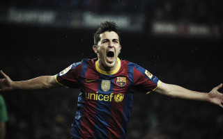 David Villa photo #