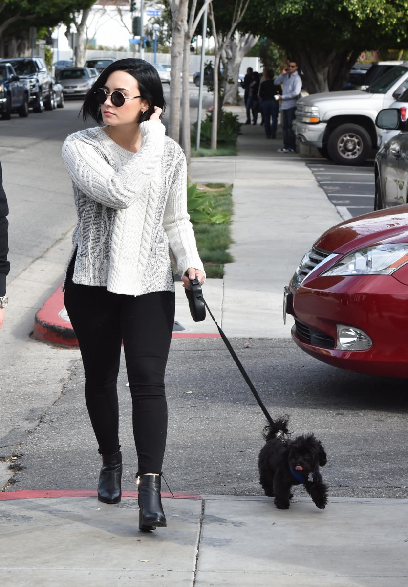 Demi Lovato: pic #830821