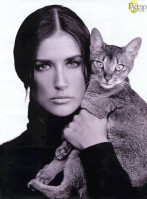 Demi Moore photo #