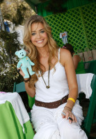 Denise Richards photo #