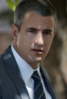 Dermot Mulroney photo #