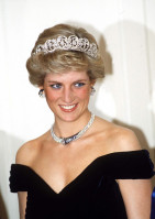 photo 14 in Diana Spencer gallery [id528141] 2012-09-02