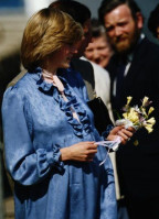 photo 29 in Diana Spencer gallery [id528298] 2012-09-02