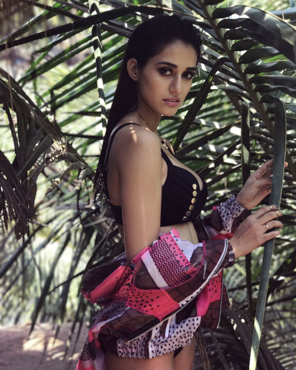 Disha Patani: pic #1038377