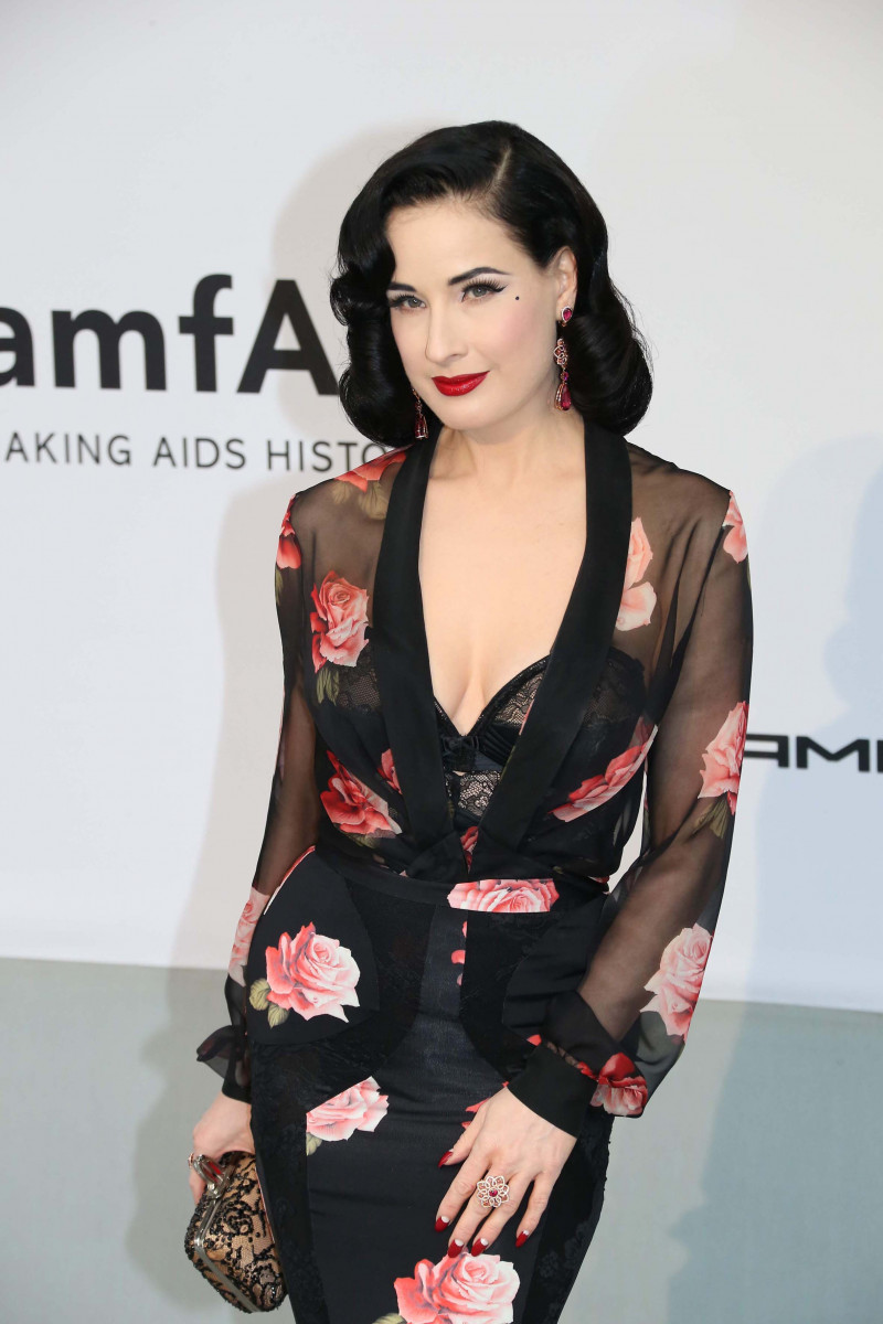 Dita Von Teese: pic #704226