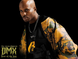 Dmx photo #