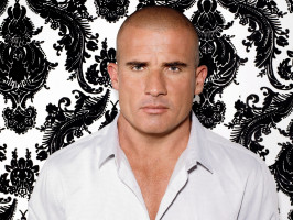 Dominic Purcell photo #