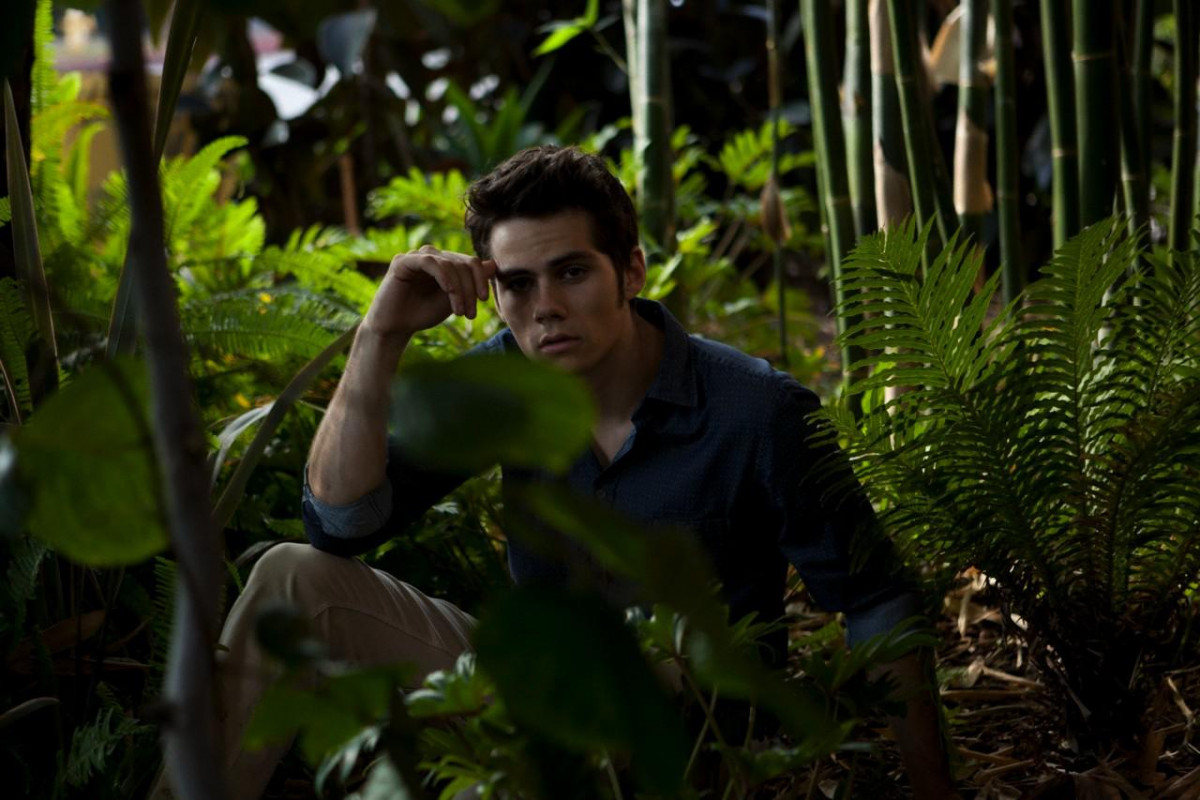 Dylan OBrien: pic #783803