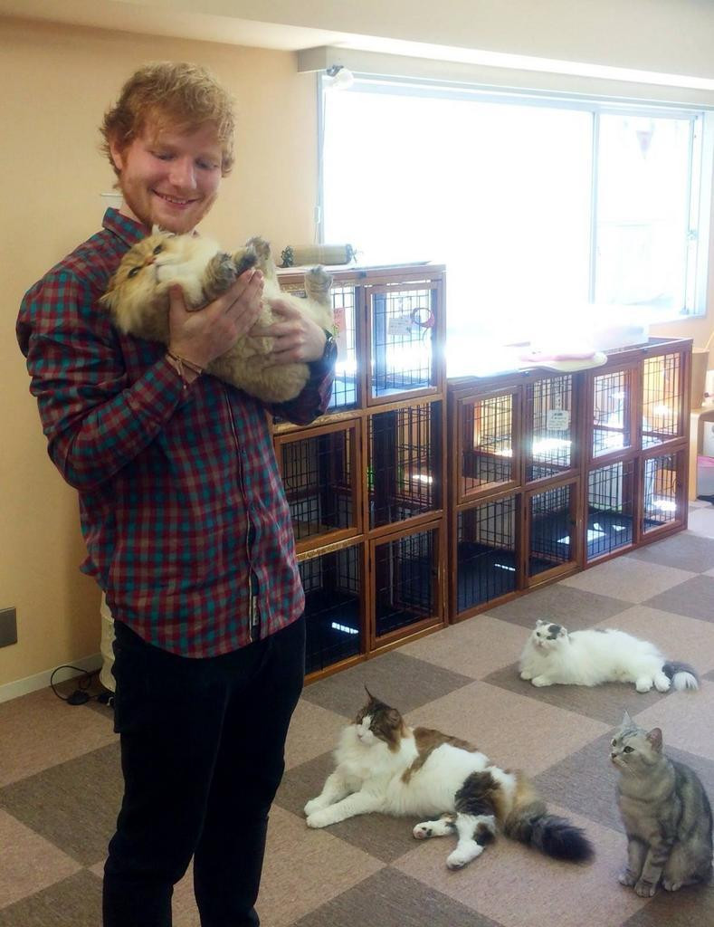 Ed Sheeran: pic #1169144