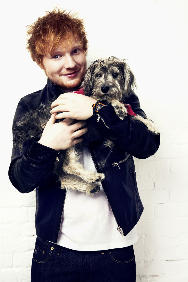 Ed Sheeran: pic #912971