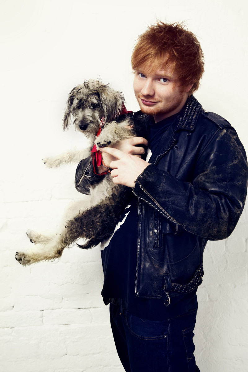 Ed Sheeran: pic #912965