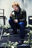 Ed Sheeran photo #