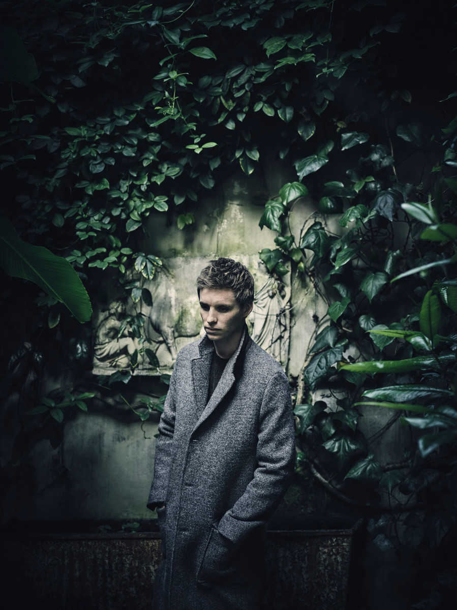 Eddie Redmayne: pic #900428