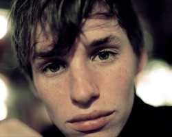 Eddie Redmayne photo #