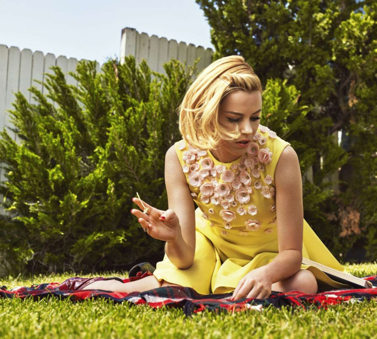 Elizabeth Banks: pic #777072