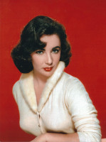 photo 12 in Elizabeth Taylor gallery [id564048] 2013-01-03