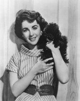 photo 17 in Elizabeth Taylor gallery [id571846] 2013-02-01