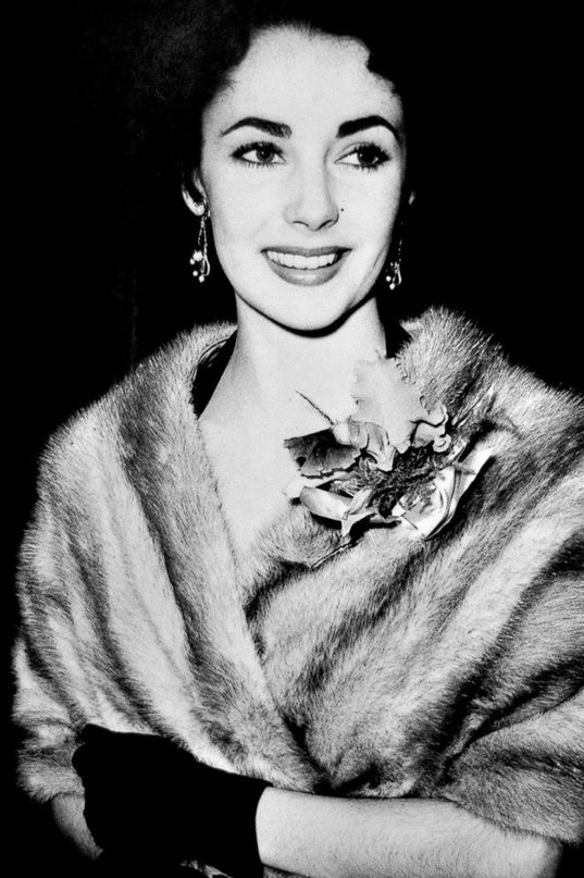 Elizabeth Taylor: pic #572291