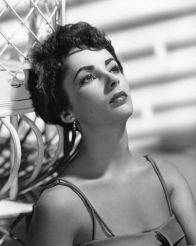 Elizabeth Taylor: pic #571836