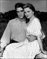 Elvis Presley photo #