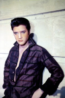 Elvis Presley photo #