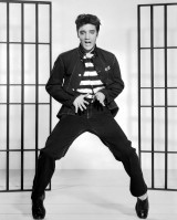 Elvis Presley photo #