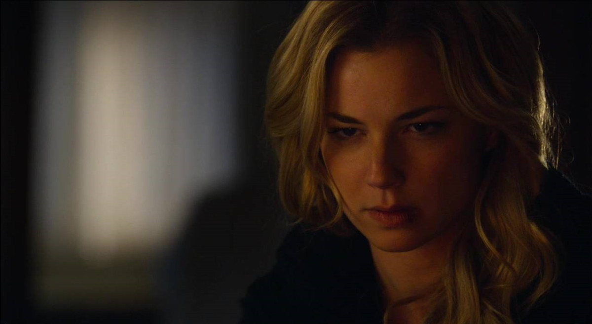Emily van Camp: pic #864630