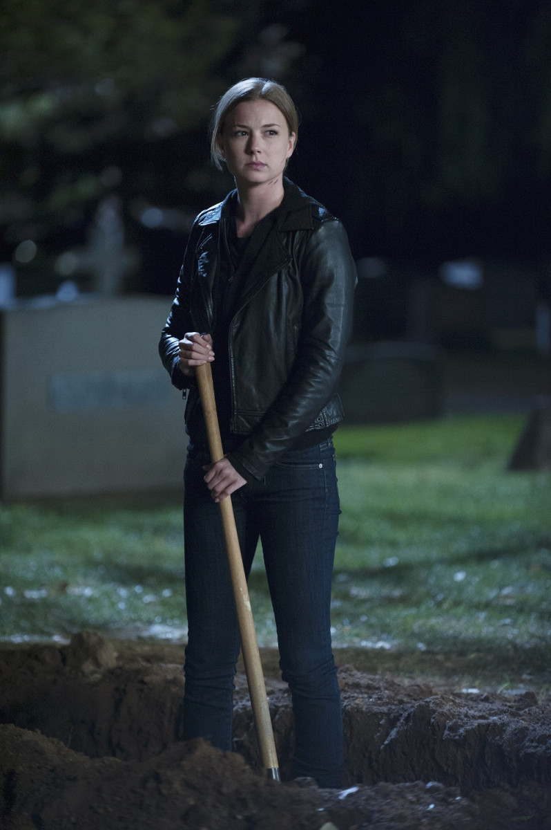 Emily van Camp: pic #848709
