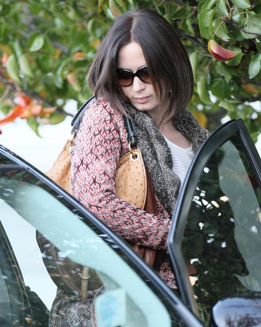 Emily Blunt: pic #505542