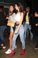 Emily Ratajkowski photo #