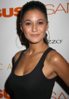 photo 22 in Emmanuelle Chriqui gallery [id227200] 2010-01-18