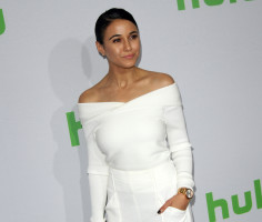 Emmanuelle Chriqui photo #