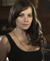 Erica Durance pic #215979