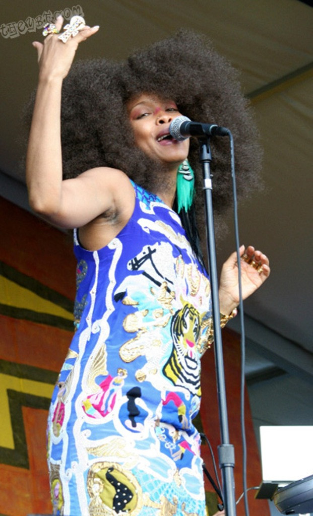 Erykah Badu: pic #151603