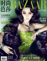 Fan Bing Bing photo #