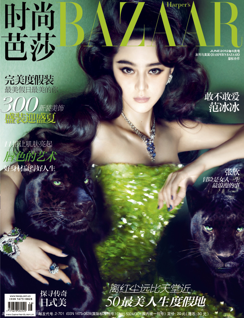 Fan Bing Bing: pic #615498