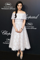 Fan Bing Bing photo #