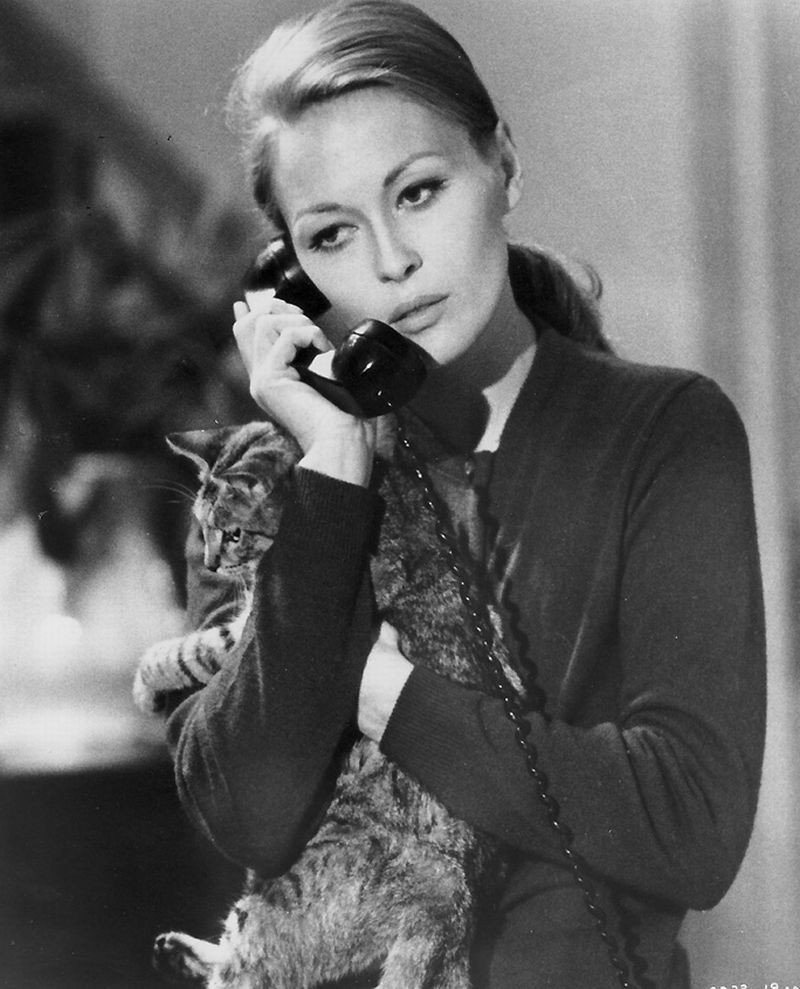 Faye Dunaway: pic #144435