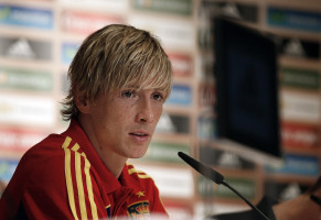 Fernando Torres photo #