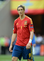 Fernando Torres photo #