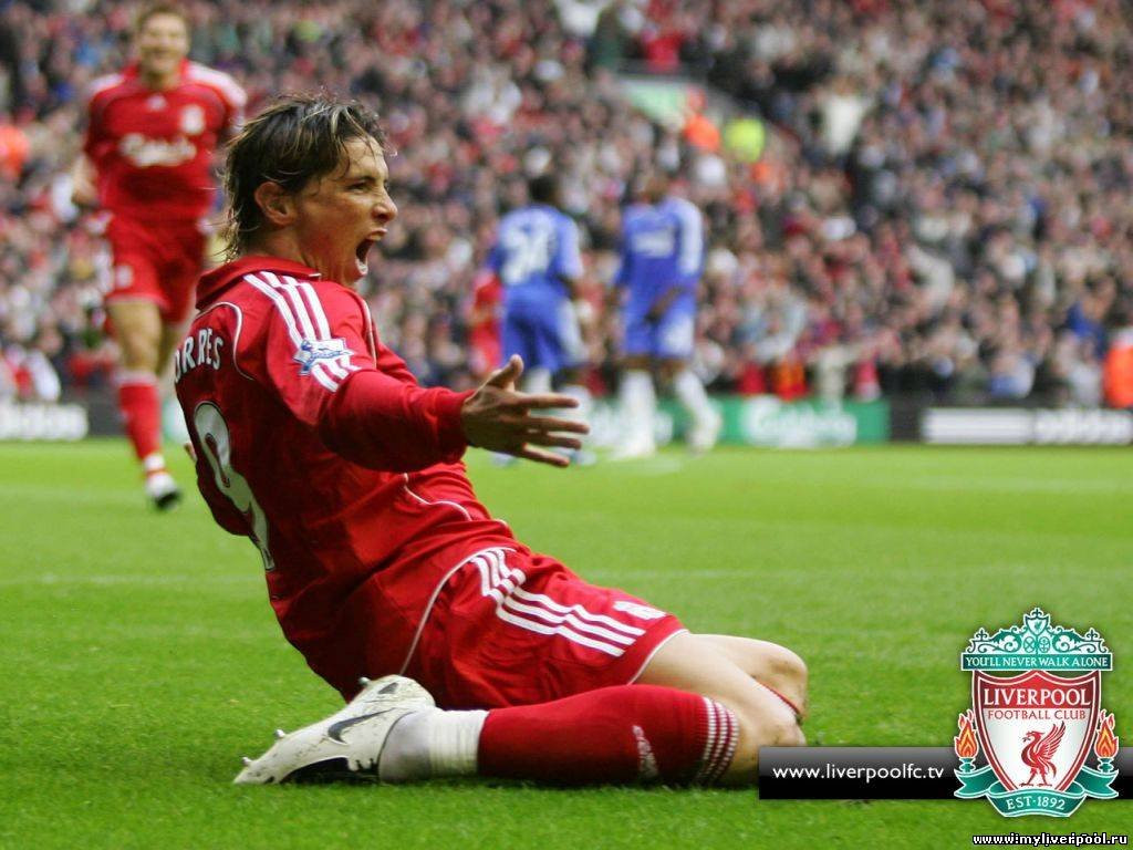 Fernando Torres: pic #114182